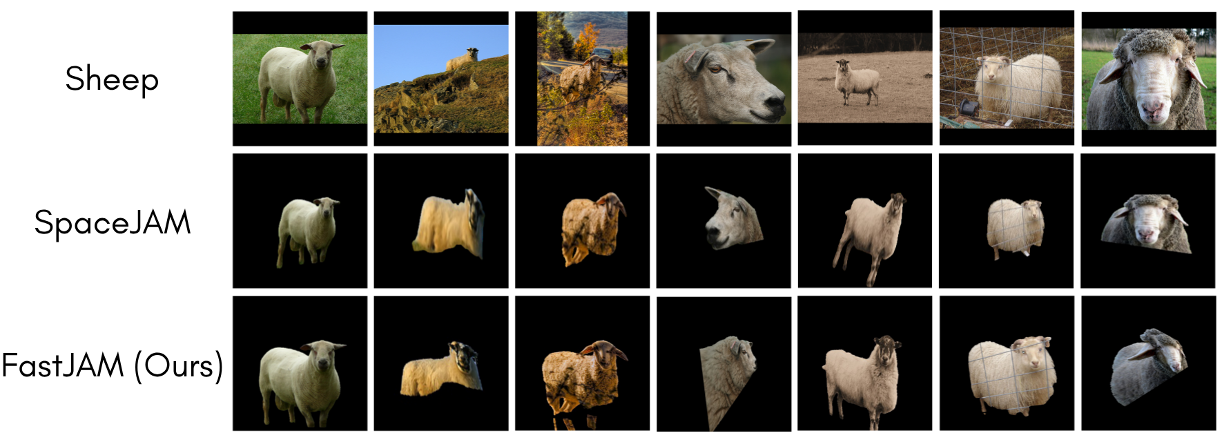Qualitative Comparison sheep