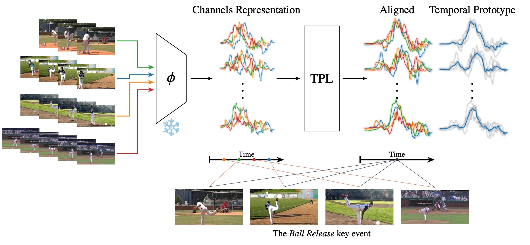 Seagulls set alignment